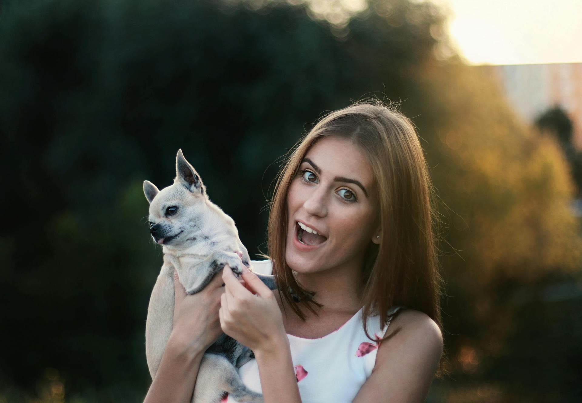Specialist Vets in United States